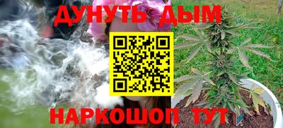 крисы Ипатово