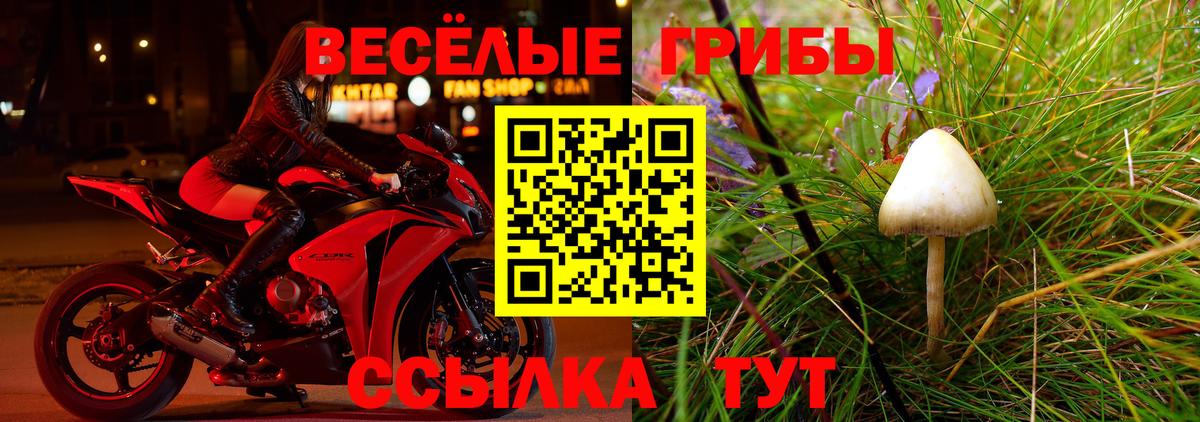 Галлюциногенные грибы GOLDEN TEACHER Кунгур