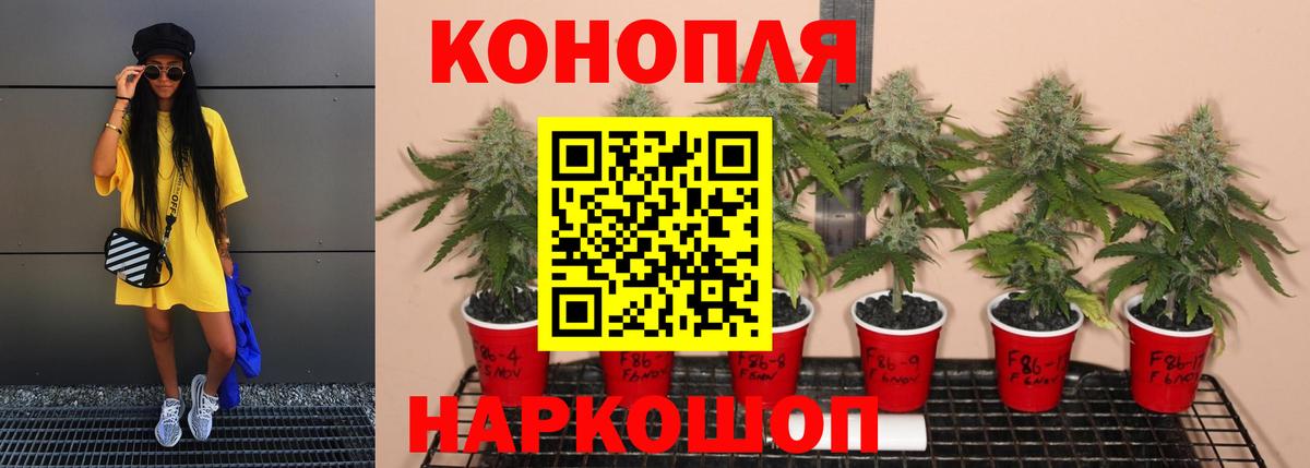 Шишки марихуана Bruce Banner Кунгур